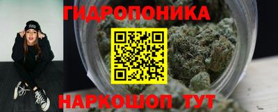 индика Тара