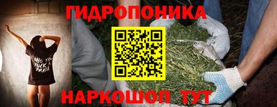 стафф Тверь