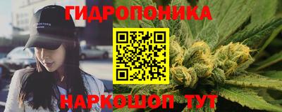 стафф Тверь