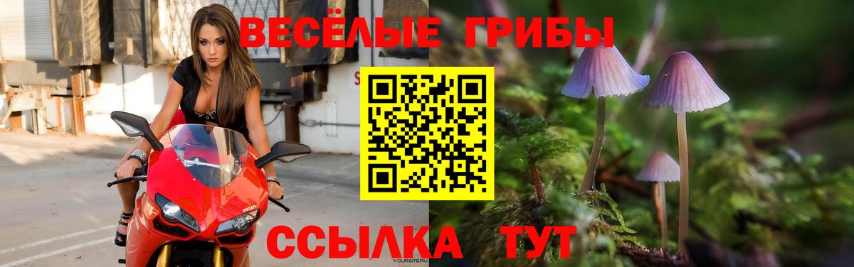 Омск  Псилоцибиновые грибы мицелий  Псилоцибиновые грибы мухоморы  Вход с VPN 